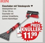 Eisschaber mit Teleskoprohr von Nigrin im aktuellen V-Markt Prospekt für 11,99 €