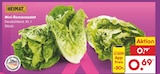 Aktuelle Salat Angebote bei Netto Marken-Discount in Duisburg Aktuelles Mini-Romanasalat Angebot bei Netto Marken-Discount in Duisburg ab 0,69 €