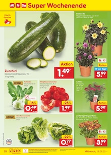 Chrysantheme im aktuellen Netto Marken-Discount Prospekt (Duisburg) Chrysantheme im Netto Marken-Discount Prospekt "Aktuelle Angebote" mit 59 Seiten (Duisburg)