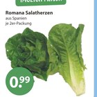Romana Salatherzen im aktuellen V-Markt Prospekt