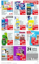 Steine im Kaufland Prospekt in Gera Aktueller Kaufland Prospekt mit Steine, "Hier bin ich richtig", Seite 48