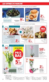 Promos Plantes dans le catalogue "LES PRODUITS U À PRIX BAS" de Super U Plantes en promo dans le catalogue Super U à la page 28