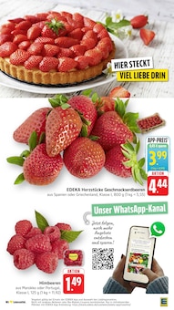 Erdbeeren im EDEKA Prospekt "Aktuelle Angebote" mit 55 Seiten (Koblenz)