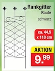 Rankgitter Raute Angebote bei Zimmermann Göttingen für 9,99 €