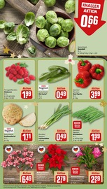 Aktueller REWE Prospekt mit Pflanzen, "Dein Markt", Seite 9