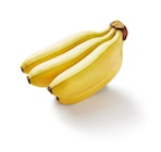 Fairtrade-Baby-Bananen Angebote bei Lidl Köln für 0,99 €