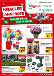Aktueller Hagebaumarkt Baumärkte Prospekt in Untermünkheim und Umgebung, "KNALLERANGEBOTE" mit 8 Seiten, 02.08.2025 - 09.08.2025