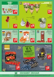 Aktueller Marktkauf Prospekt mit Blumen, "AUSWAHL RIESIG, PREISE NIEDRIG", Seite 9
