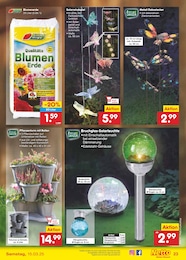 Netto Marken-Discount Blumenerde im Prospekt 