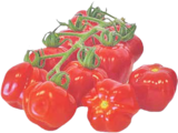 V-Markt Lechbruck - Paprikatomaten Angebot im Prospekt Paprikatomaten bei V-Markt im Lechbruck Prospekt für 1,79 €