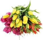 Tulpenstrauß »Frühlingswind« bei REWE im Miesbach Prospekt für 5,79 €