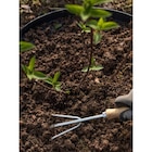 Terreau universel UAB* - CARREFOUR - Carrefour à Limoges Terreau universel UAB* - CARREFOUR en promo chez Carrefour Limoges à 4,99 €