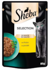 KATZENNAHRUNG im Angebot bei REWE in Hürth KATZENNAHRUNG Angebote von Sheba bei REWE Hürth für 0,49 €