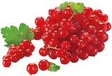 Rote Johannisbeeren im Angebot bei REWE in Lehrte Rote Johannisbeeren Angebote bei REWE Lehrte für 2,99 €