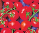 Promo Tomates rondes en grappe à 1,69 € dans le catalogue Bi1 à Avallon