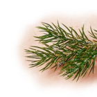 Aktuelle Rindfleisch Angebote bei Penny in Oldenburg Aktuelles Cabernet Merlot Angebot bei Penny in Oldenburg ab 2,99 €