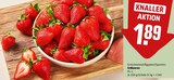 Erdbeeren Angebote bei REWE Lutherstadt Wittenberg für 1,89 €