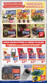Schubkarre im CENTERSHOP Prospekt in Wuppertal Aktueller CENTERSHOP Prospekt mit Schubkarre, "Da geht was.", Seite 5