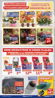 Sackkarre im CENTERSHOP Prospekt "Da geht was." mit 20 Seiten (Duisburg)