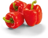 Aktuelle Paprika Angebote bei Netto Marken-Discount in Mönchengladbach Aktuelles Paprika rot Angebot bei Netto Marken-Discount in Mönchengladbach ab 1,35 €