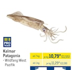 Kalmar Patagonia von Pro Trace im aktuellen METRO Prospekt