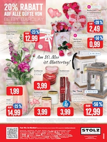 Blumen im Kaufhaus Stolz Prospekt "STOLZ. Das Kaufhaus im Norden." mit 24 Seiten (Rostock)