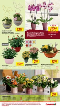 Blumen im toom Baumarkt Prospekt "Respekt, wer's selber macht." mit 28 Seiten (Bremen)