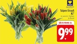 Aktuelles Tulpen-Strauß XL Angebot bei EDEKA in Augsburg ab 9,99 €
