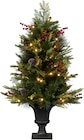 Weihnachtstopf im Angebot bei Rusta in Jena Weihnachtstopf Angebote bei Rusta Jena für 79,90 €