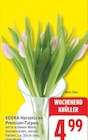 Premium-Tulpen von EDEKA Herzstücke im aktuellen EDEKA Prospekt
