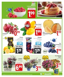 EDEKA Pflaumen im Prospekt 