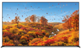 Aktuelles 4K UHD OLED TV K55XR8M25BP Angebot bei expert in Heidelberg ab 1.749,00 €