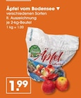 V-Markt Buchloe - Äpfel vom Bodensee Angebot im Prospekt Äpfel vom Bodensee bei V-Markt im Buchloe Prospekt für 1,99 €