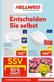 WC im Hellweg Prospekt in Hennef Aktueller Hellweg Prospekt mit WC, "Die Profi-Baumärkte", Seite 1