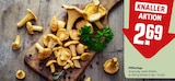 Pfifferlinge im Angebot bei REWE in Weiden Pfifferlinge Angebote bei REWE Weiden für 2,69 €
