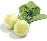 Kohlrabi im aktuellen Netto mit dem Scottie Prospekt