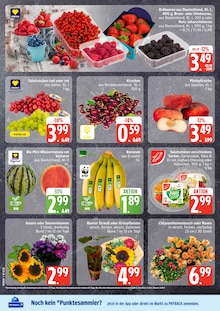 Aktueller EDEKA Prospekt "Top Angebote" Aktueller EDEKA Prospekt