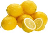 Bio Zitronen Angebote von REWE Bio bei REWE Filderstadt für 1,11 €