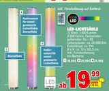 LED-Lichtsäule bei E center im Bühlertal Prospekt für 19,99 €