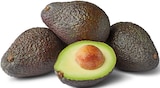 Penny Elmenhorst - Avocado angereift Angebot im Prospekt Avocado angereift bei Penny im Elmenhorst Prospekt für 0,69 €