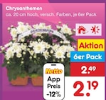 Chrysanthemen im Angebot bei Netto Marken-Discount in Passau Chrysanthemen Angebote bei Netto Marken-Discount Passau für 2,19 €
