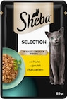 Katzennahrung im Angebot bei Rossmann in Neunkirchen Katzennahrung Angebote von Sheba bei Rossmann Neunkirchen für 0,49 €