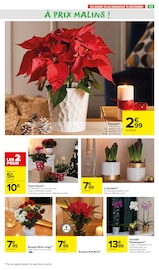 Plantes Angebote im Prospekt "JOYEUX NOËL & MEILLEURS PRIX" von Carrefour Market auf Seite 59