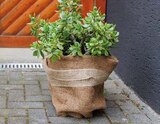 Kokosschutzmatte für 8,99 € bei Globus-Baumarkt im Angebot Kokosschutzmatte im aktuellen Globus-Baumarkt Prospekt