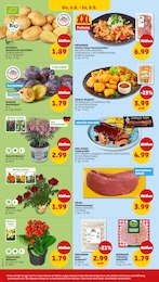 Zwetschgen Angebot & Preis im aktuellen Penny Prospekt Zwetschgen Angebot im aktuellen Penny Prospekt auf Seite 34