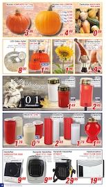 Aktueller CENTERSHOP Prospekt mit Pflanzen, "Da geht was.", Seite 2