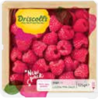 EDEKA Frischemarkt Ellerdorf - Himbeeren Angebot im Prospekt Himbeeren bei EDEKA Frischemarkt im Ellerdorf Prospekt für 1,00 €