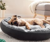 Panier pour chien à Lidl dans Ploubezre