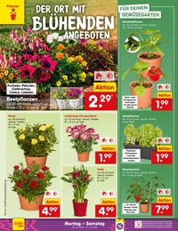 Netto Marken-Discount Holz im Prospekt Netto Marken-Discount Holz im Prospekt