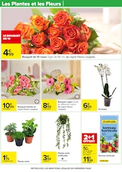 Jardinage Angebote im Prospekt "70 % D’ÉCONOMIES SUR UNE SÉLECTION DE PRODUITS D'HYGIÈNE" von Carrefour Jardinage Angebote im Prospekt "70 % D’ÉCONOMIES SUR UNE SÉLECTION DE PRODUITS D'HYGIÈNE" von Carrefour auf Seite 17